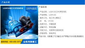 立窯水泥廠高效生產解決方案 羅茨風機應用與龍鼓風機的一站式服務